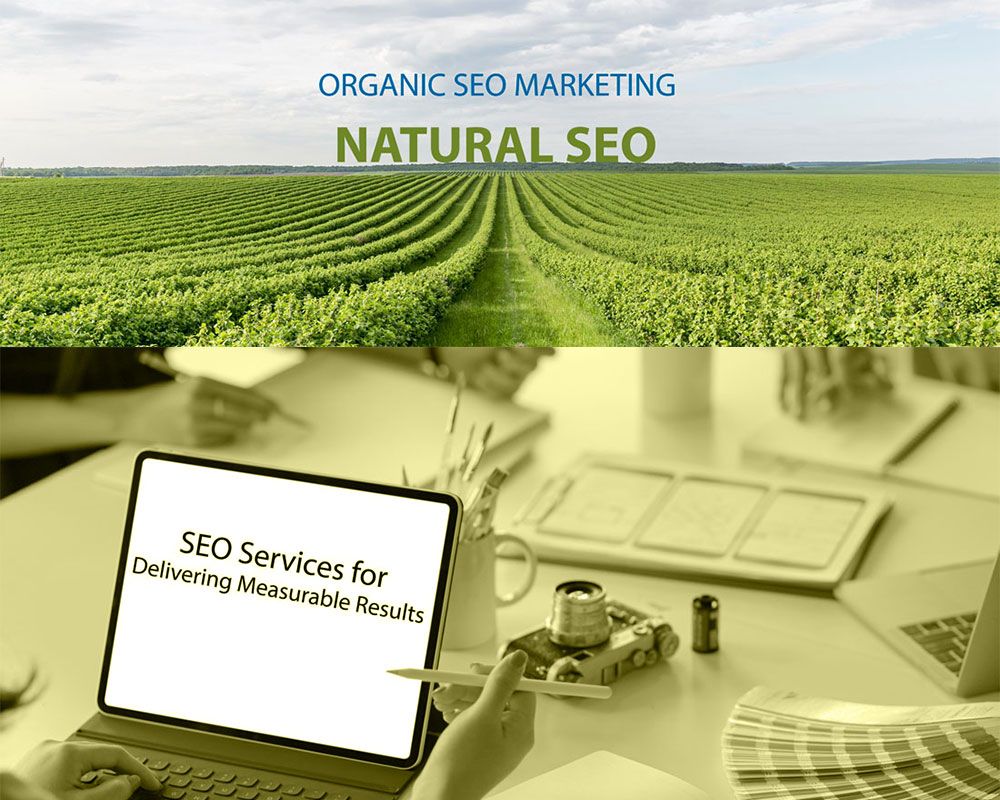 National SEO India