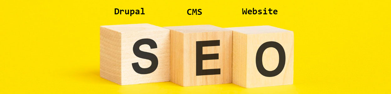 Druapl CMS Website SEO Services