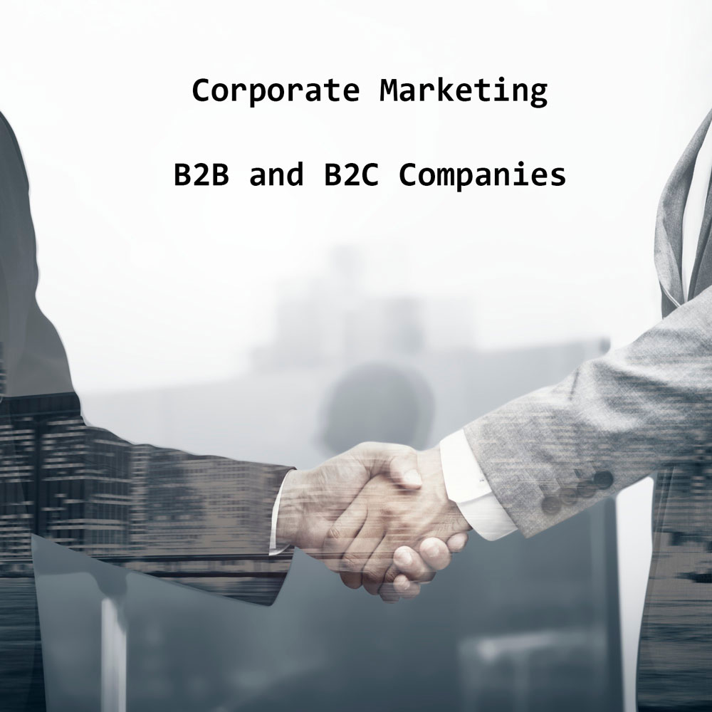 Specialized B2C SEO Services